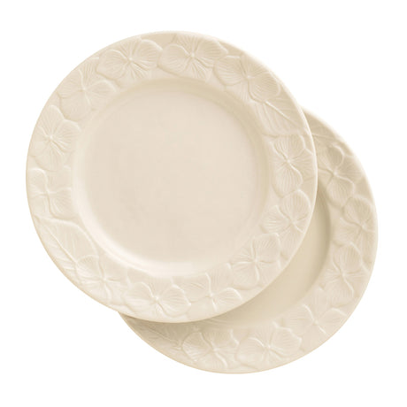 Belleek Classic Hydrangea 8" Plate, Set of 2 - Creative Irish Gifts