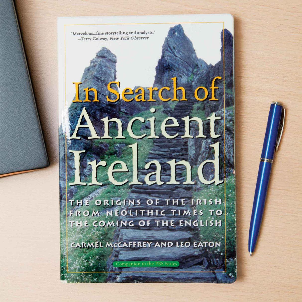 In Search of Ancient Ireland